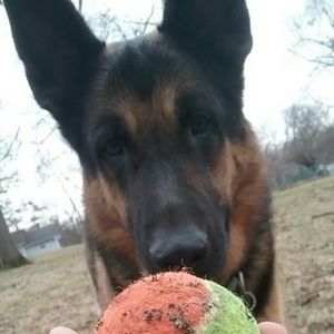 Meet your Posher, Zach